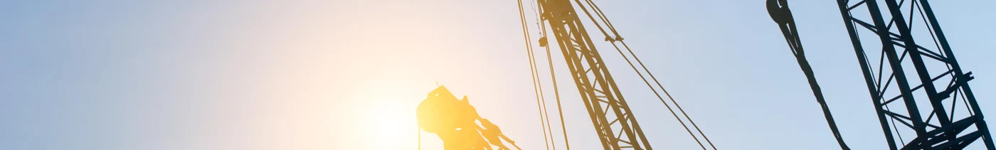 c6ee47e7-a3c0-4b34-9a25-35cdcc599563-cranes-sunset.jpg